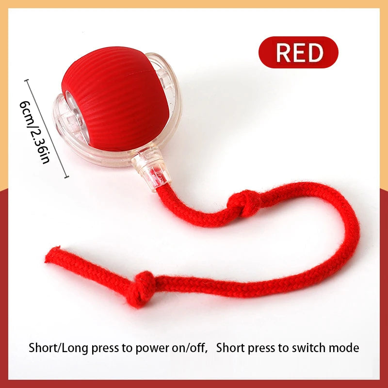 Smart Interactive Rolling Ball for Cats | USB Rechargeable Toy