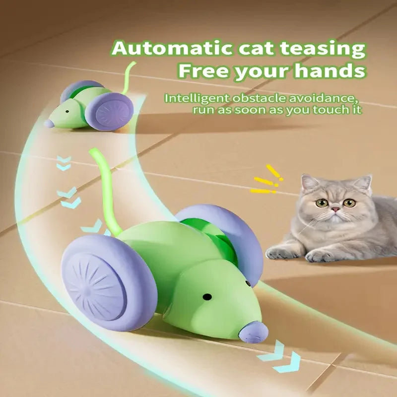 Smart Interactive Rolling Ball for Cats | USB Rechargeable Toy