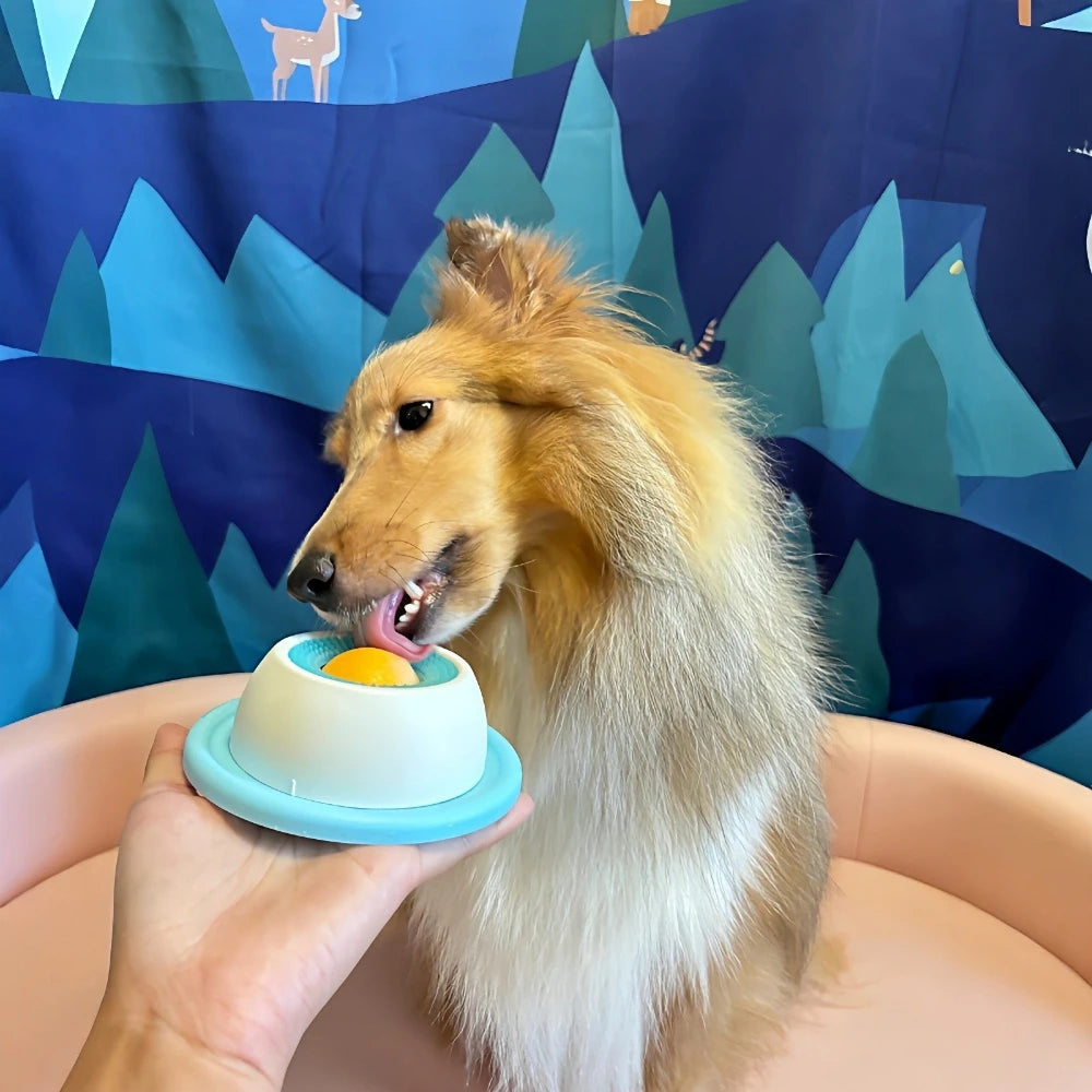Interactive Slow Feeder Bowl for Dogs & Cats