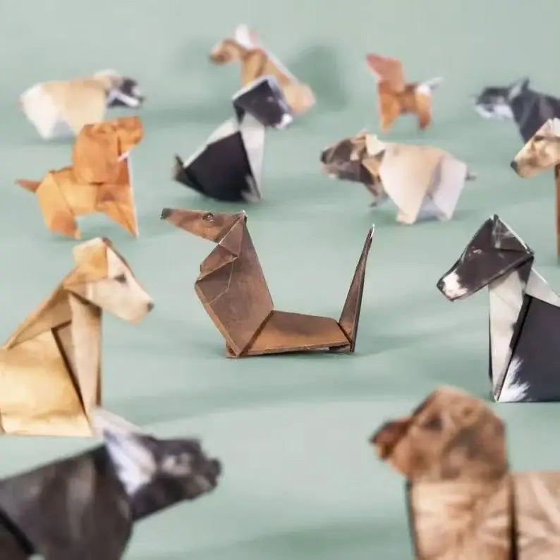 50PCS DIY Animal Origami Kit – 3D Paper Folding Craft Set for Kids & Adults