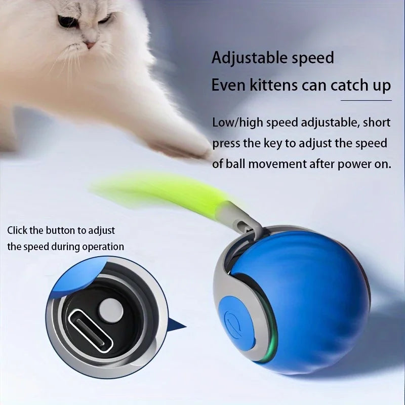 Smart Interactive Rolling Ball for Cats | USB Rechargeable Toy